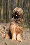 BRIARD 215